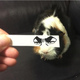 Image for article titled Fake Cartoon Eyes for Cats Make Everything Better